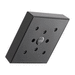 Brizo D87380BL Black Shower Head