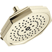 Brizo D87465PN Polished Nickel Shower Head