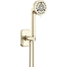 Brizo D88865PN Polished Nickel Hand Held Shower