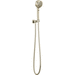 Brizo D88876PN Polished Nickel Wall Mount Hand Shower