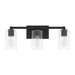 Capital Lighting C119831BI435 Black Iron 3 Bulb Bathroom Light