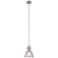  Mini-Pendant Pendant Light - Polished Nickel