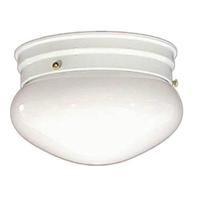 Flush Mount Ceiling Light - White