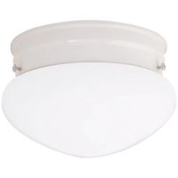  Flush Mount Ceiling Light - White