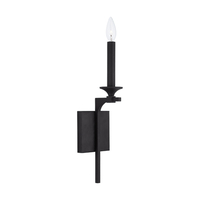 1 Bulb Wall Sconce 1 Bulb Wall Sconce