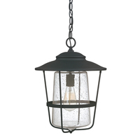 Creekside Hanging Hanging Lantern - Black