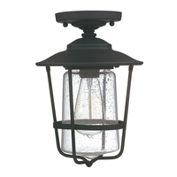  Creekside Ceiling Ceiling Mounted - Black