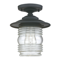 Ceiling Mounted Light 8-1/4" Width