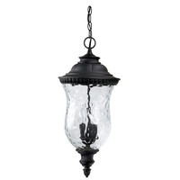  Ashford Hanging Hanging Lantern - Black
