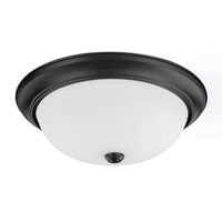 Flush Mount Ceiling Light Flush Mount Ceiling Light