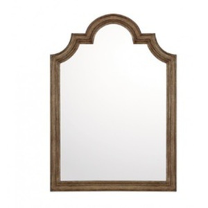 CM382688 Mirrors Unique Shape Mirror - Tawny