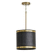 Capital Lighting C335611GB Galvanized Black / True Brass Down Light Pendant