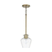 Capital Lighting C338111AD489 Aged Brass Mini Pendant