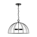 Capital Lighting C338842MB Matte Black Linear Pendant