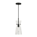 Capital Lighting C342411MB Matte Black Mini Pendant