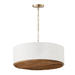 Capital Lighting C347441MA Matte Brass Down Light Pendant