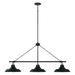 Capital Lighting C842131MB Matte Black Entrance / Foyer Pendant