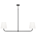 Capital Lighting C849421MB Matte Black Multi Light Pendant