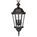 Capital Lighting C9724OB Old Bronze Outdoor Hanging Lantern