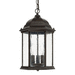 Capital Lighting C9836OB Old Bronze Outdoor Hanging Lantern