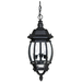 Capital Lighting C9864BK Black Outdoor Hanging Lantern