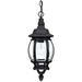 Capital Lighting C9868BK Black Outdoor Hanging Lantern