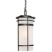 Capital Lighting C9885OB Old Bronze Outdoor Hanging Lantern