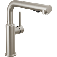  Daneri Pull-Out Spray Kitchen Faucet - Stainless