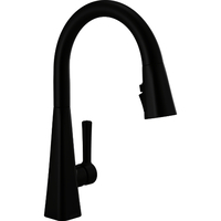 Pull-Out Spray Kitchen Faucet Pull-Out Spray Kitchen Faucet