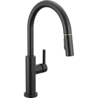 Pull-Out Spray Kitchen Faucet Pull-Out Spray Kitchen Faucet