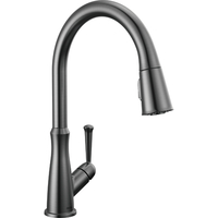  Westville Pull-Out Spray Kitchen Faucet - Arctic Stainless