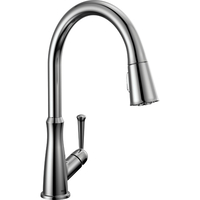 Pull-Out Spray Kitchen Faucet