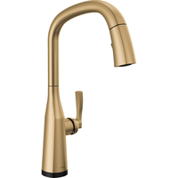 Pull-Out Spray Kitchen Faucet