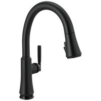  Coranto Pull-Out Spray Kitchen Faucet - Matte Black