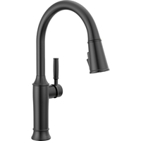  Renaldi Pull-Out Spray Kitchen Faucet - Matte Black