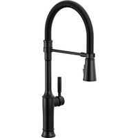 Pull-Out Spray Kitchen Faucet