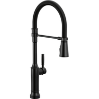 Pull-Out Spray Kitchen Faucet