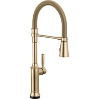 Pull-Out Spray Kitchen Faucet