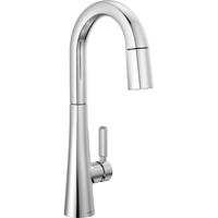 Pull-Out Spray Kitchen Faucet