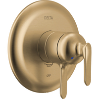 Shower Faucet Trim Kit