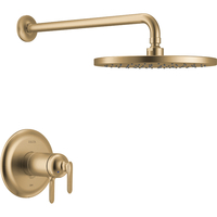 Shower Faucet Trim Kit