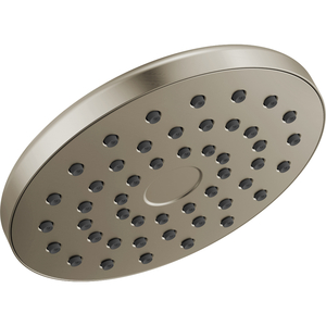 D52101SSPR25 Shower Head Shower Accessory - Lumicoat Stainless