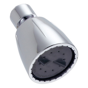 DRP44809 Fundamentals Shower Head Shower Accessory - Chrome