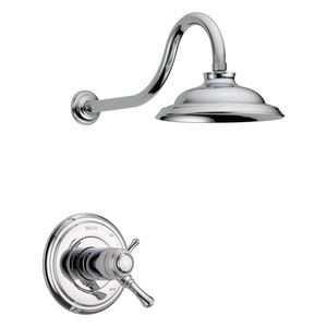 DT17T297WE/DR10000UNBX Cassidy Single Handle Shower Faucet - Chrome