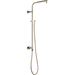 Delta Faucet D58820PNPR Lumicoat Polished Nickel Shower Tower Custom Shower System