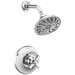 Delta Faucet DT14256LHP/DH567/DR10000UNBX Chrome Single Handle Shower Faucet