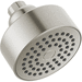 Delta Faucet DRP101842SS Stainless Shower Head