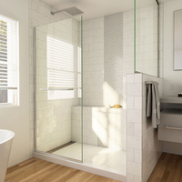  Linea Shower Door - Fixed Shower Door - Brushed Nickel