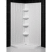 Dreamline DDL6043C01 White Standard Enclosure