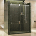 Dreamline DSHDR6060791208 Polished Stainless Sliding Shower Door